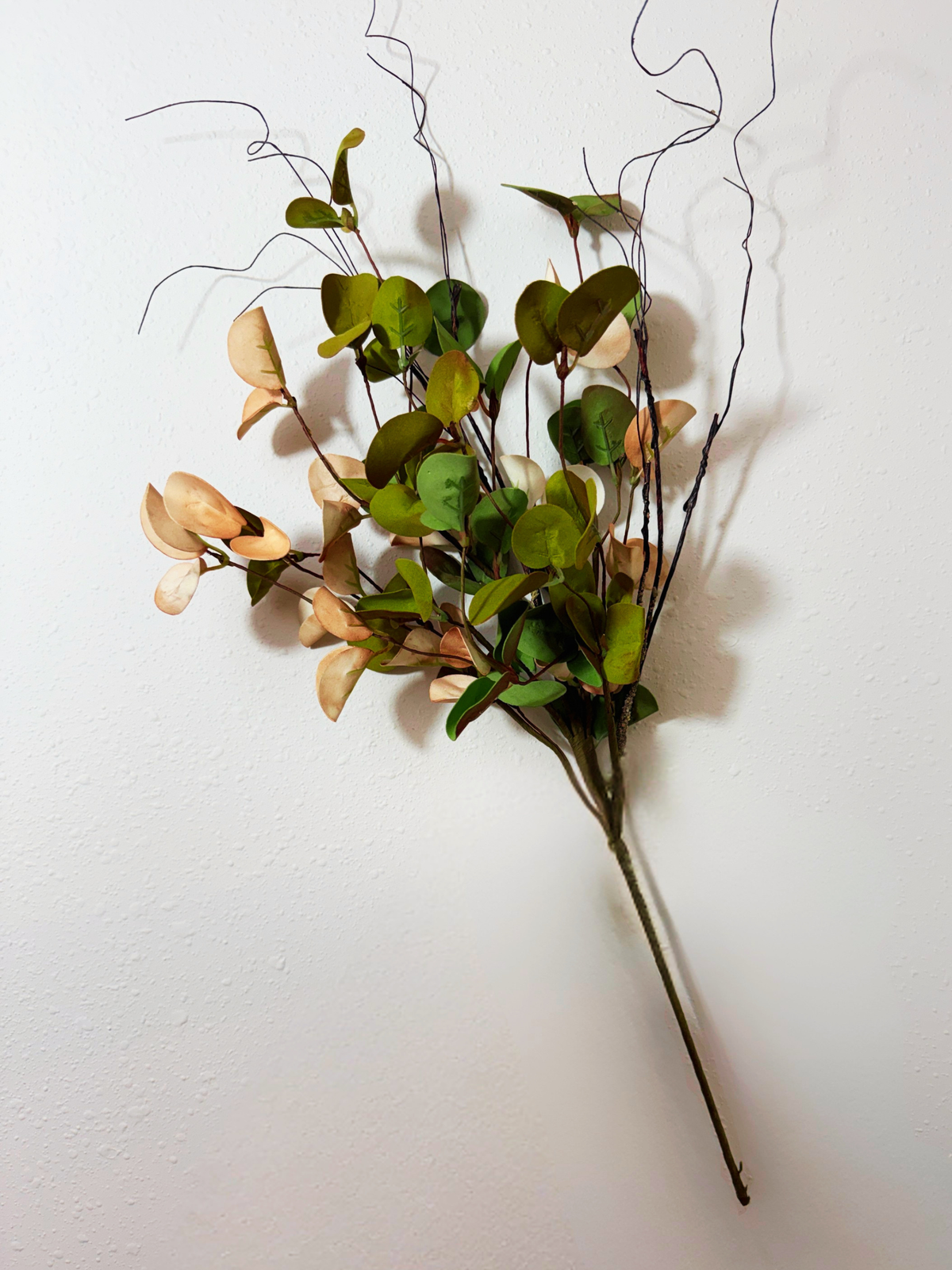 Variegated Eucalyptus Spray