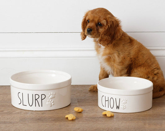 Ceramic Dog Bowls - Slurp And Chow (Set of 2)