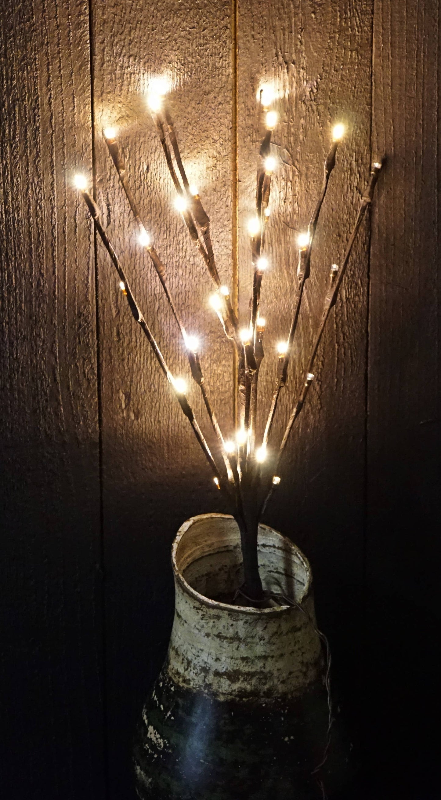 Lighted Led Stems-15” L