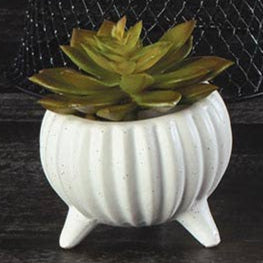 Matt Dot Cream Planter