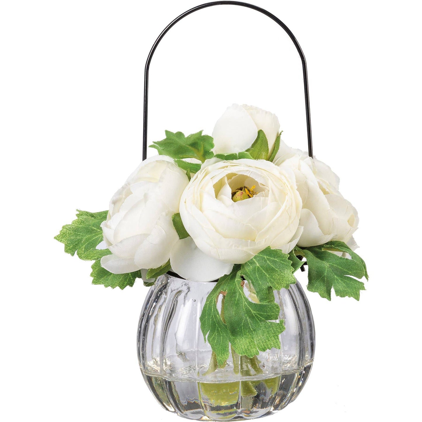 White Ranunculus in Glass Vase