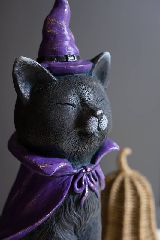 Magical Black Cat