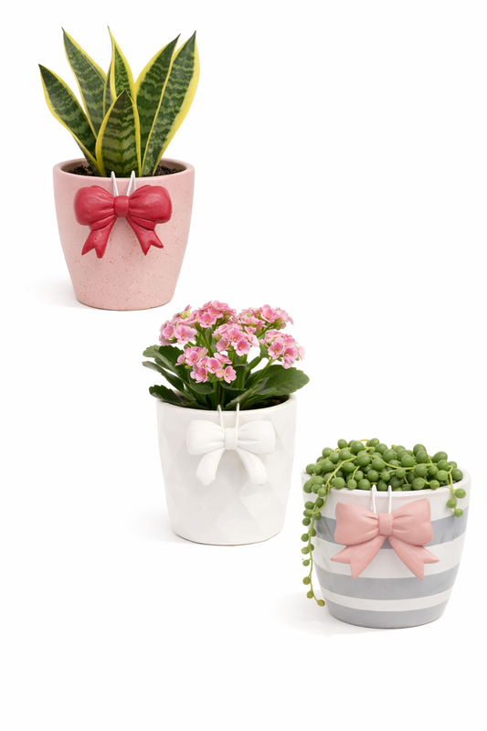 🎀 Bow Pot Hangers | Decorative Pot Accessories