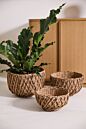 Entwine Nesting Baskets (3 Sizes)