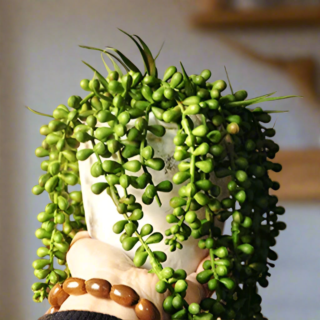Faux String of Pearls Spray