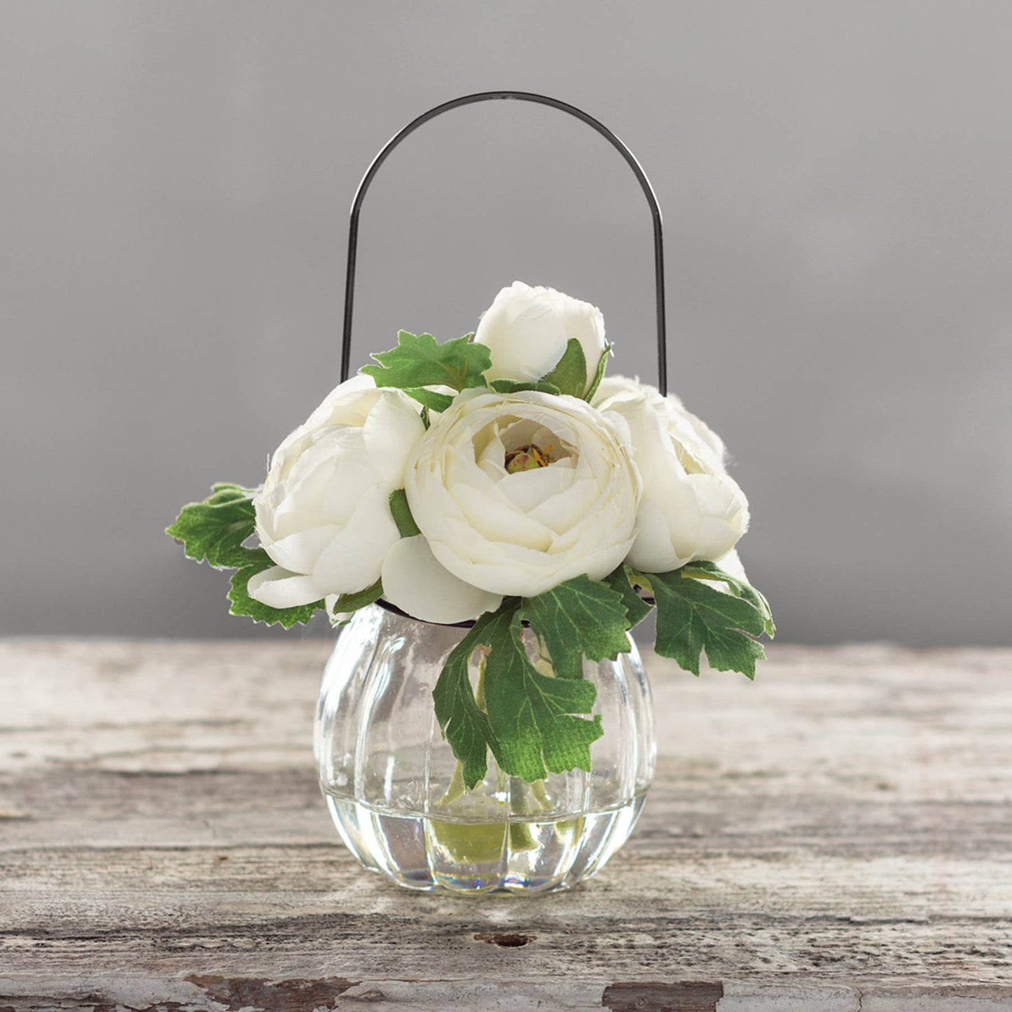 White Ranunculus in Glass Vase