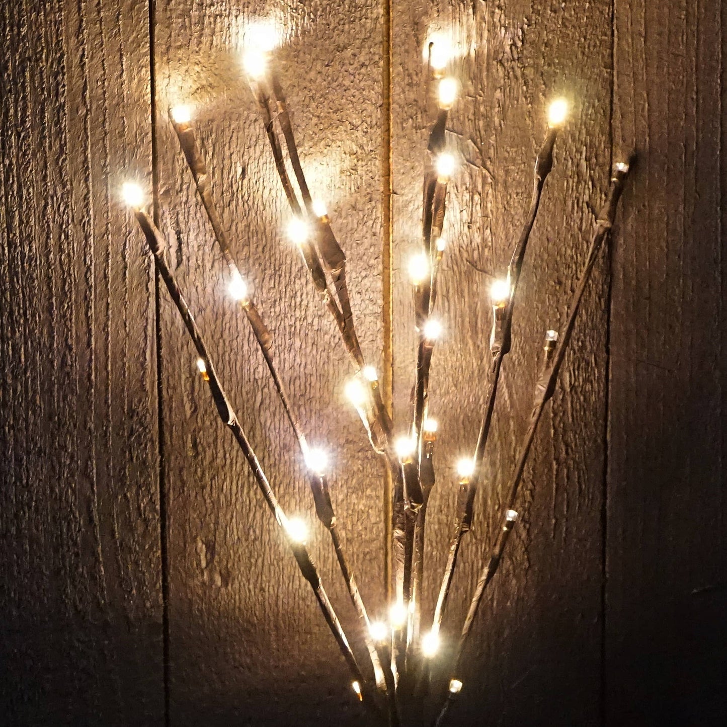 Lighted Led Stems-15” L