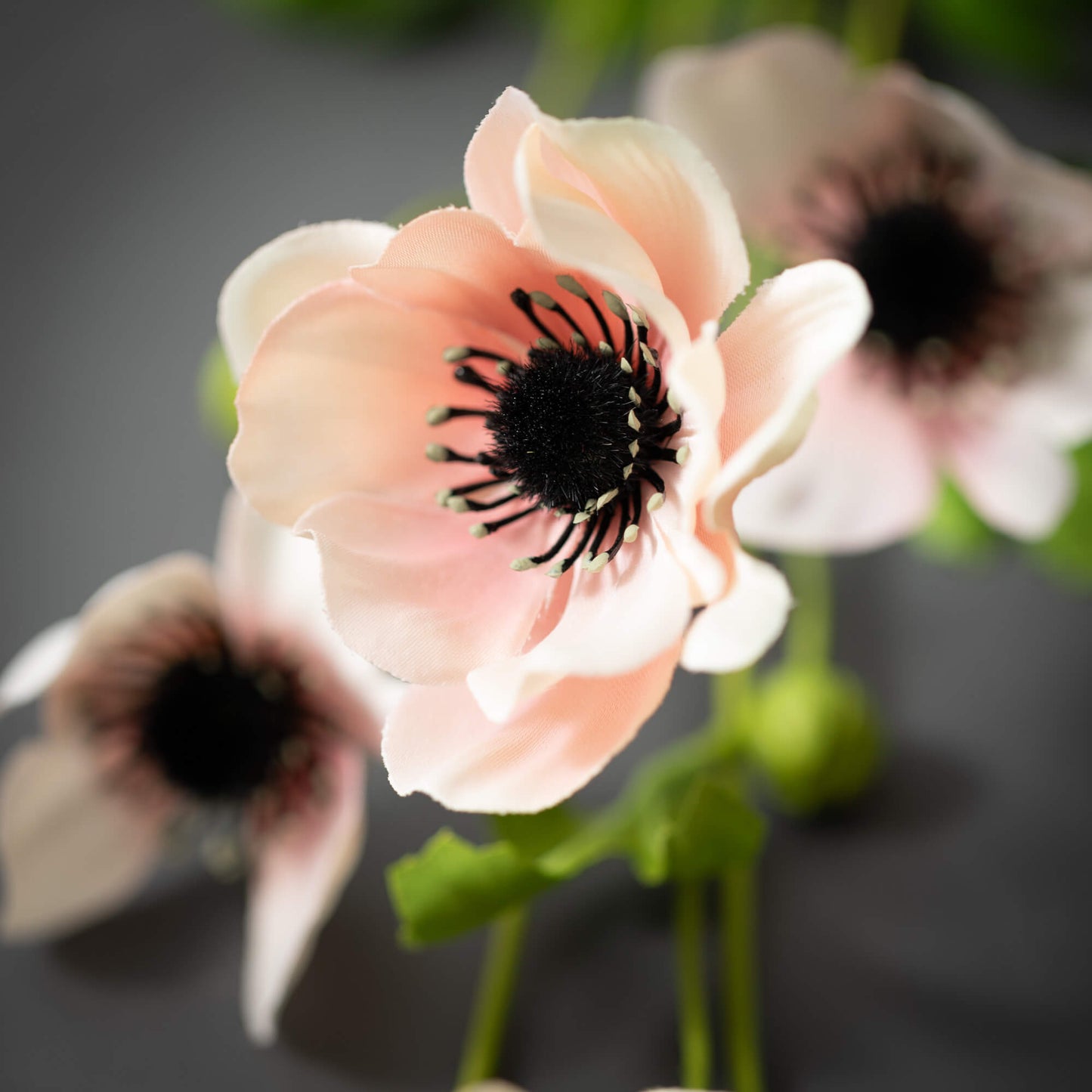 PEACH ANEMONE SPRAY