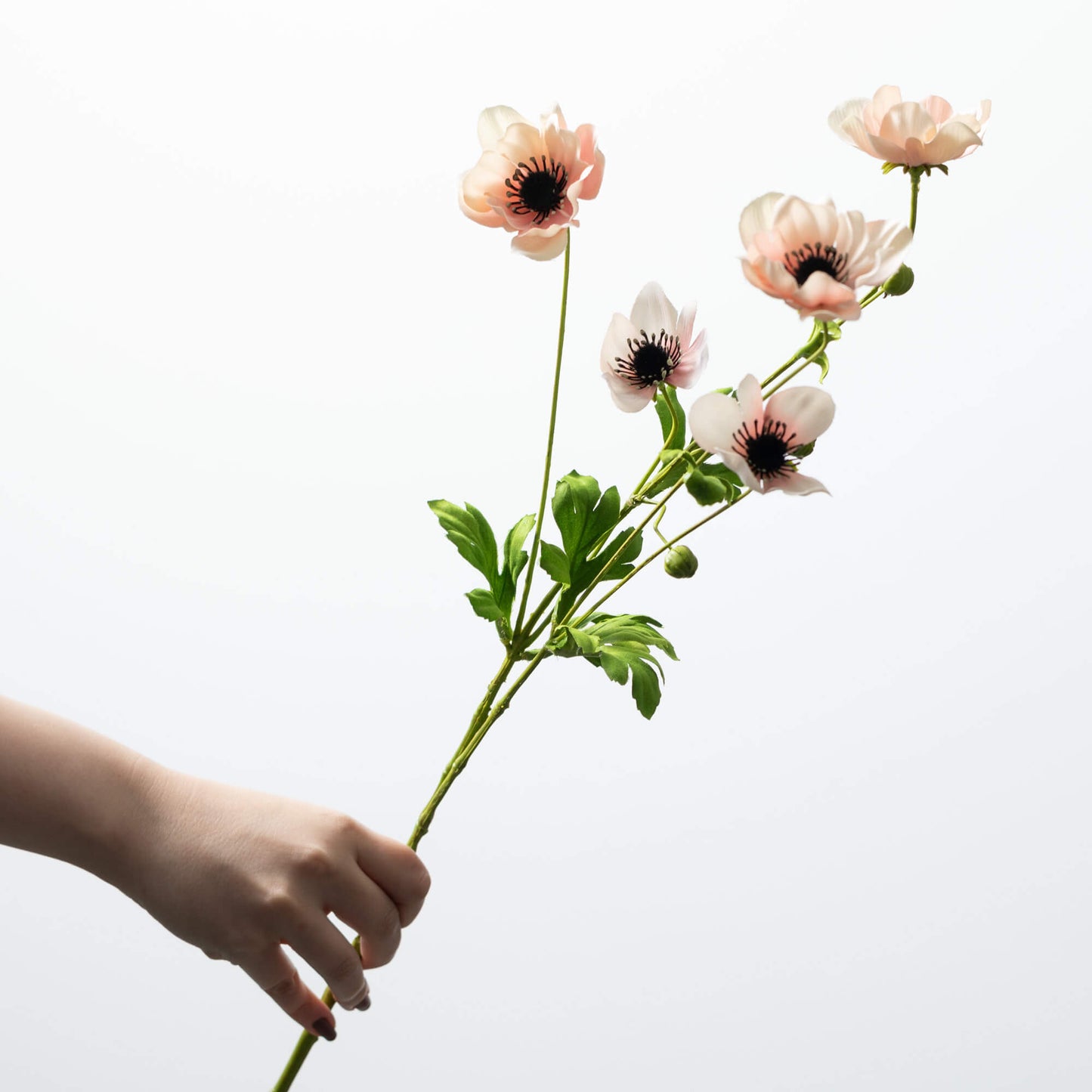 PEACH ANEMONE SPRAY