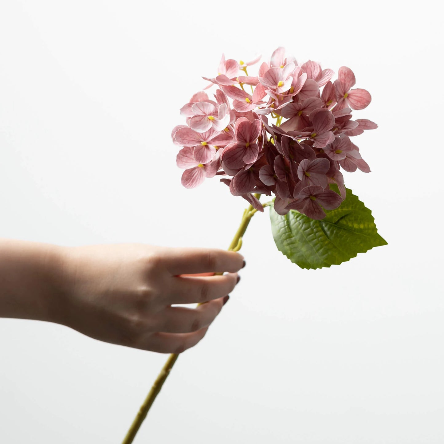 Hydrangea Stem 12"- Dark Pink