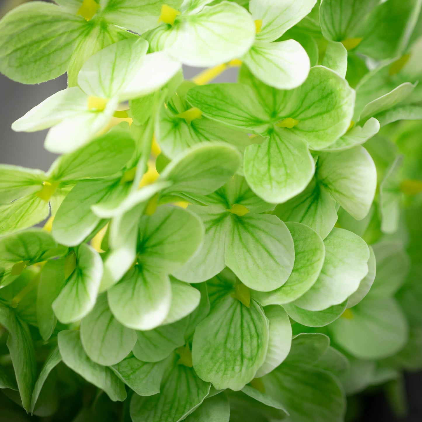 Hydrangea Stem 12"- Green