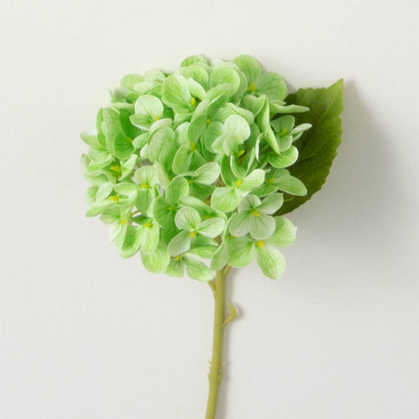 Hydrangea Stem 12"- Green