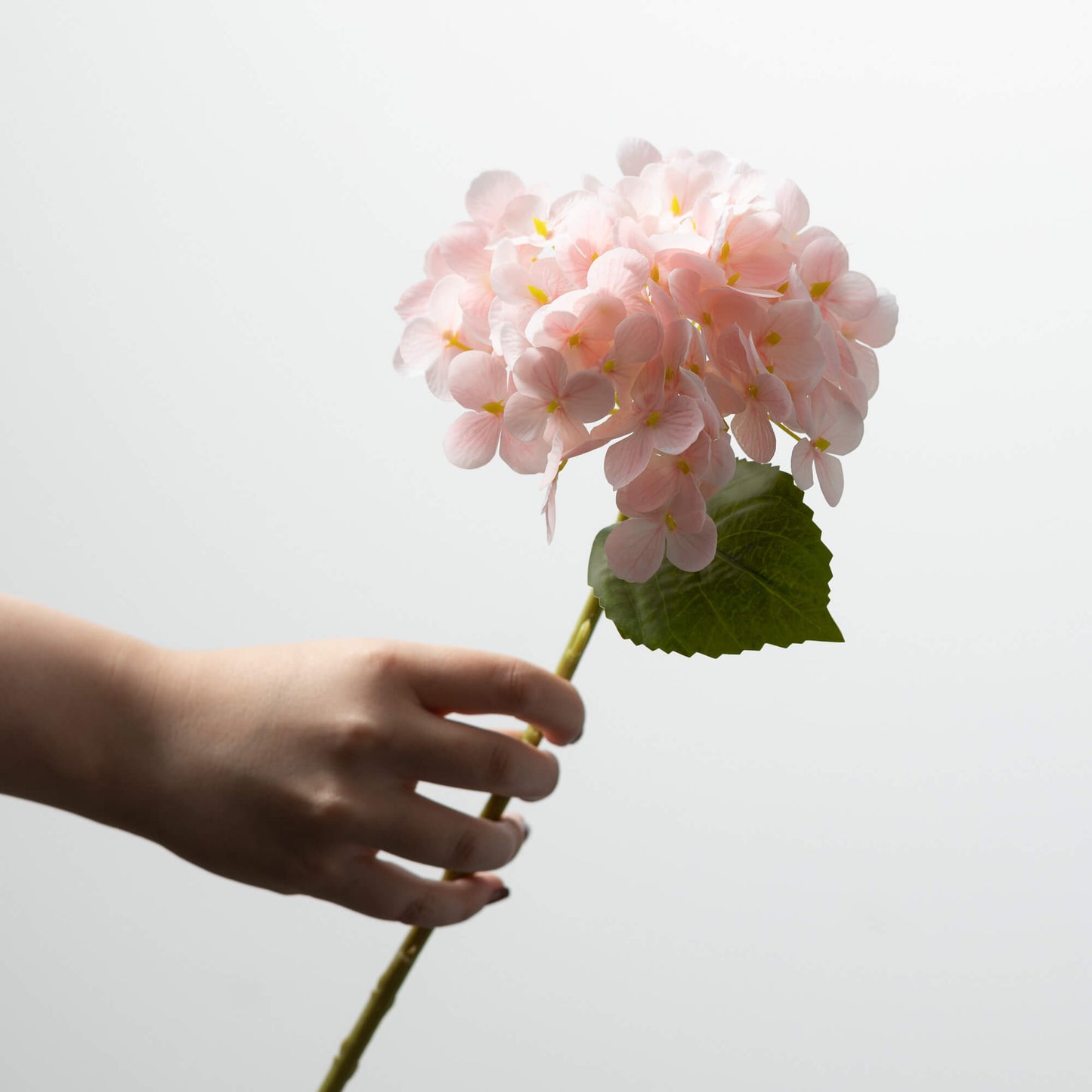 Hydrangea Stem 12"- Pink