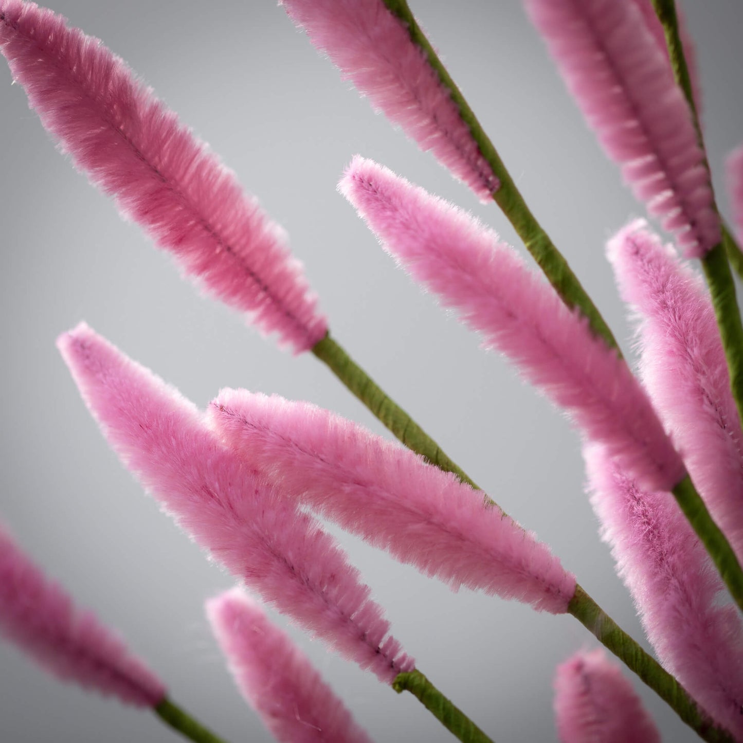 PINK BUNNY TAIL SPRAY