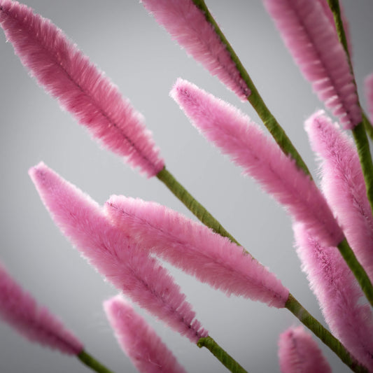 PINK BUNNY TAIL SPRAY