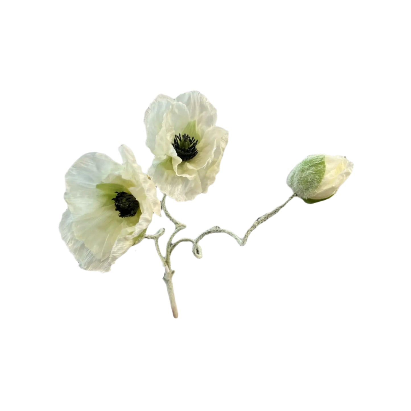 20" Poppy Spray (Cream)