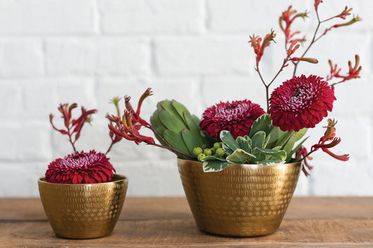 Jema Bowl (2 sizes)