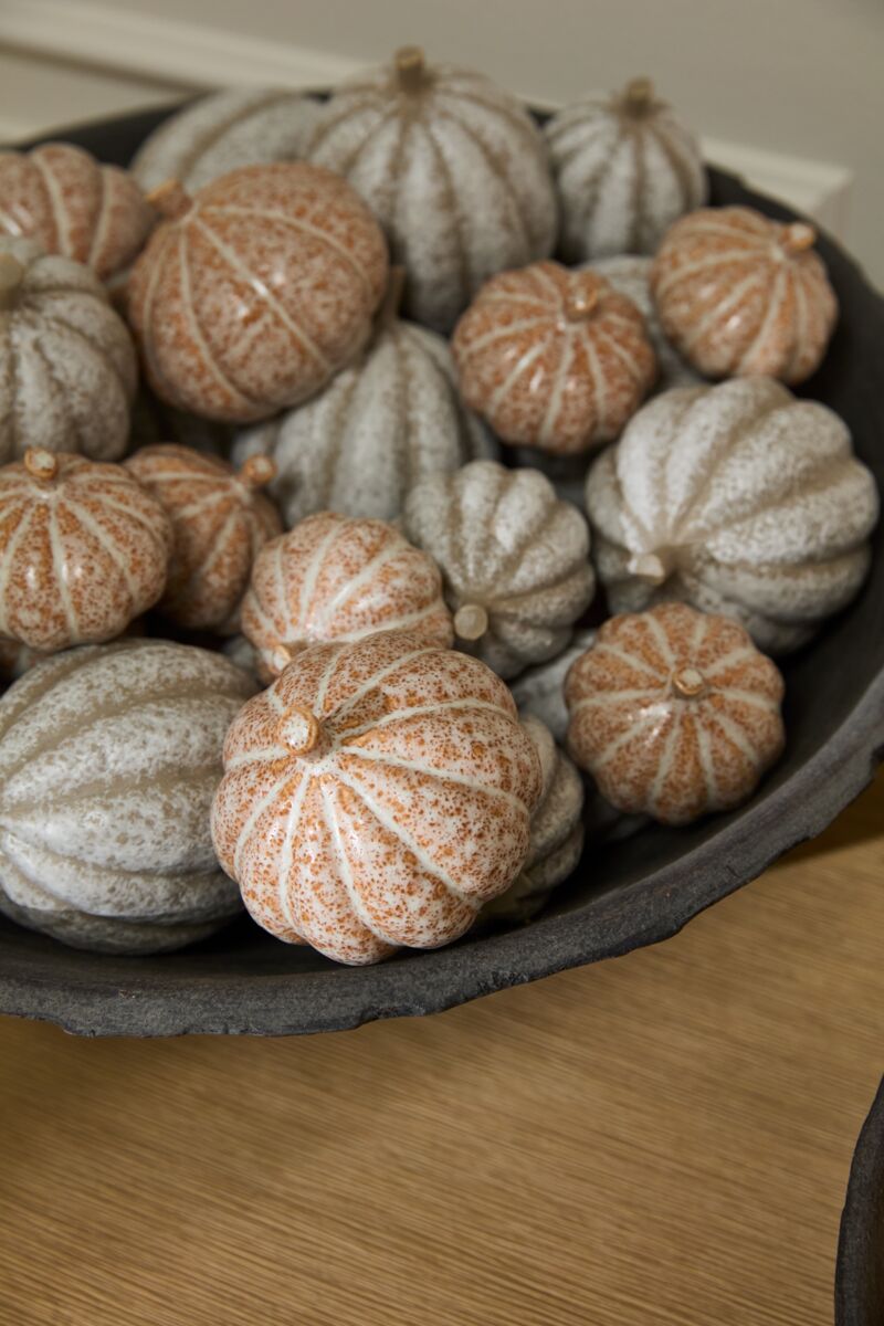 Pumpkin Patch Pumpkin set (Orange)