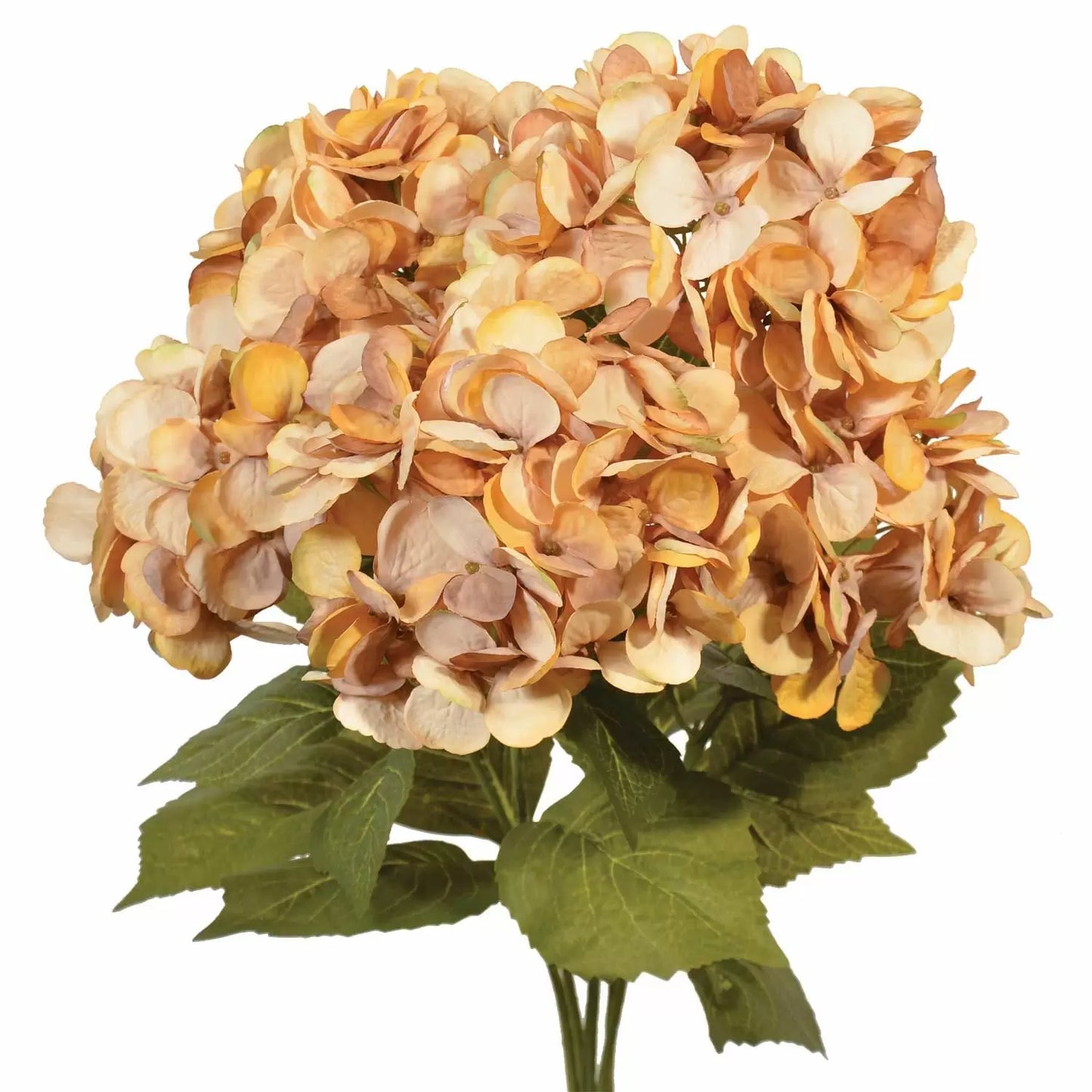Hydrangea Bush - Gold & Beige - Fall Bush (23")