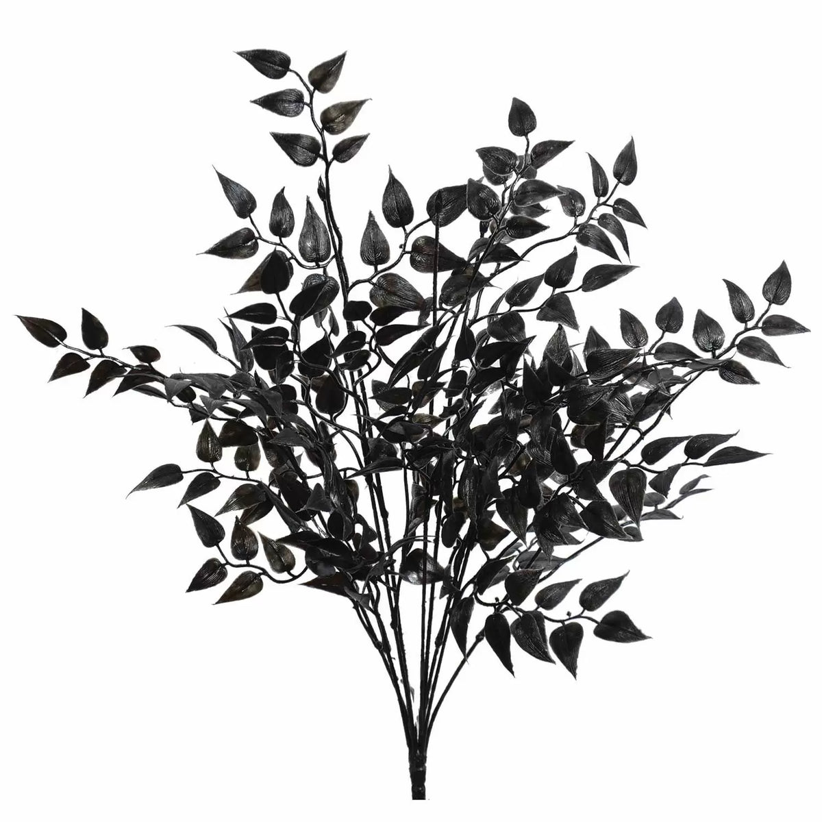 Ruscus Bush- Black (20in)