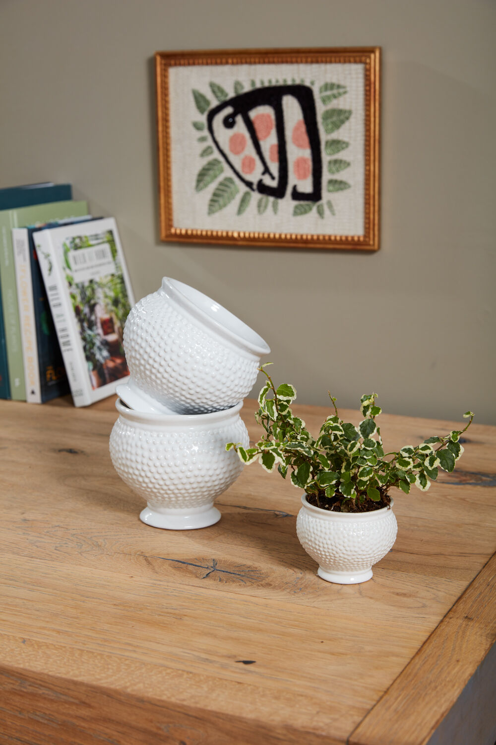 Spotti Pot (3 Sizes)