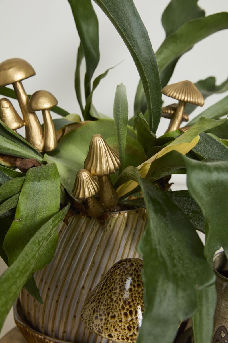 Golden Mushroom Plant Stakes (3 styles)